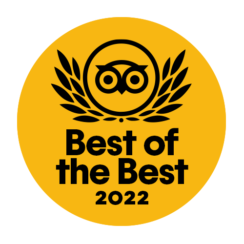 Best Of Best 2022